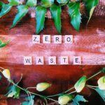 10 tipů pro zero waste péči o rostliny: Minimalistické zelené triky pro šetrnou péči o přírodu